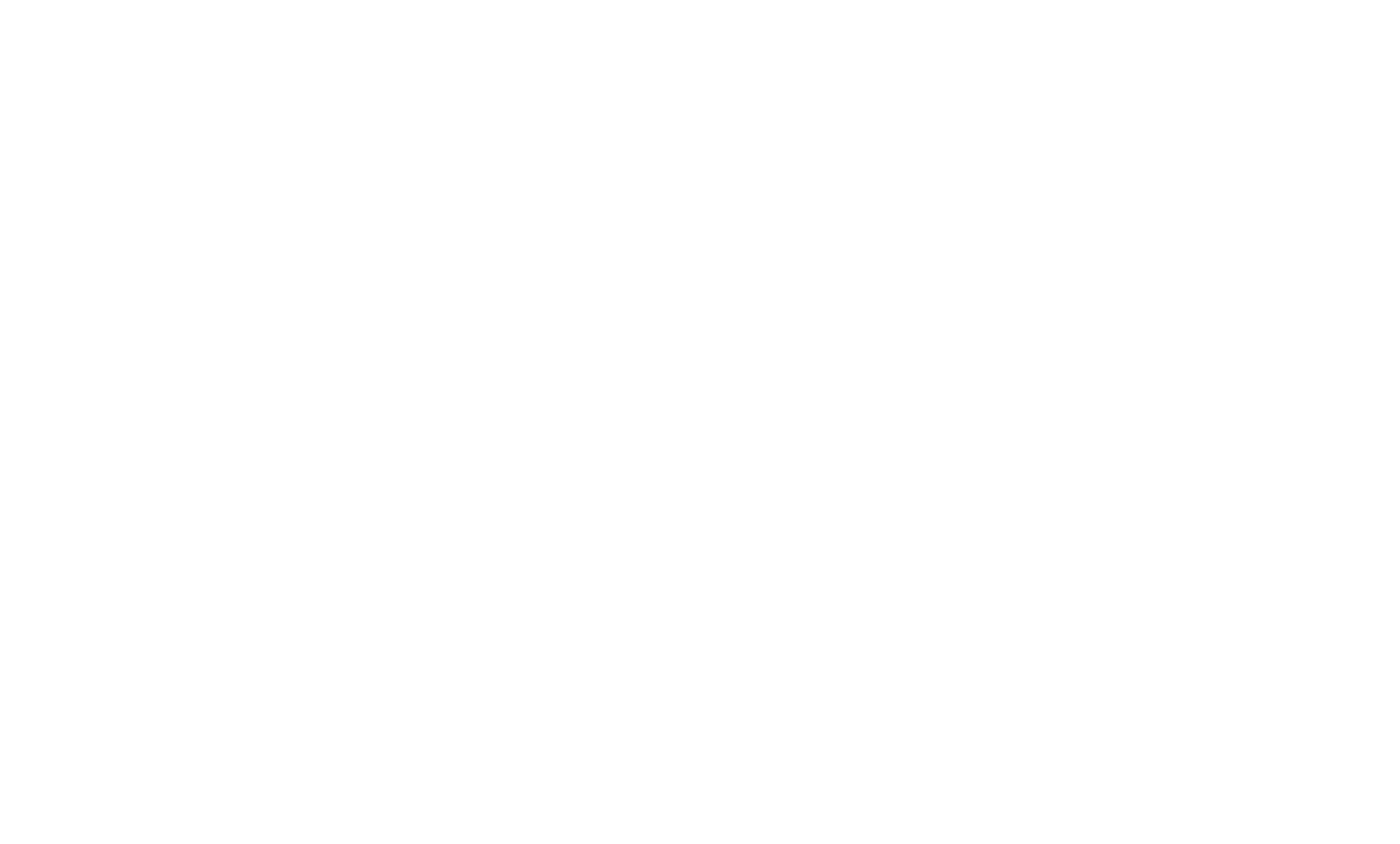 Logo KSN white